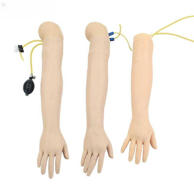 정맥주사 훈련용 팔뚝 모델 혈관 체혈 교육 인체 해부 실습 마네킹 연습용 교구 키트 - 상세 이미지 2