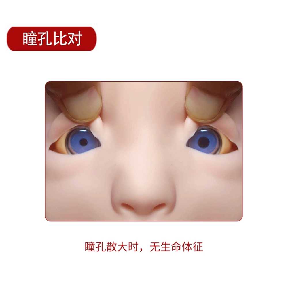 심폐소생술 마네킹 영유아 영아 응급 자격증 기도 경색 모형 패키지 단순형 처치 - 상세 이미지 5