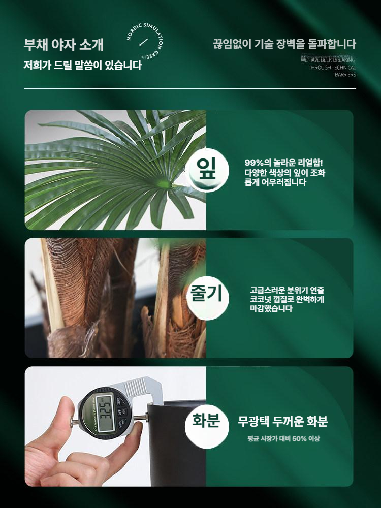 거실 화분 인테리어 정원 분갈이 토분 베란다 예쁜 다육이 사무실 텃밭 빈티지 - 상세 이미지 4