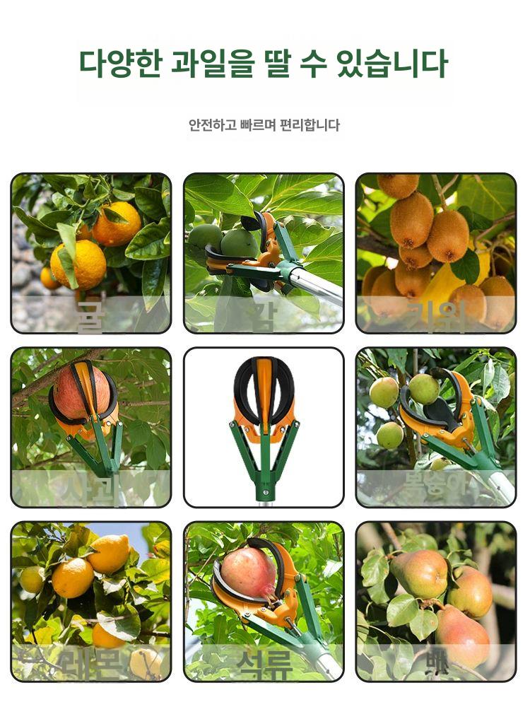 집게형 감수확기 과일따기 열매 농기구 감따개 과수원가위 과일따는 피커 감따는장대 - 상세 이미지 4