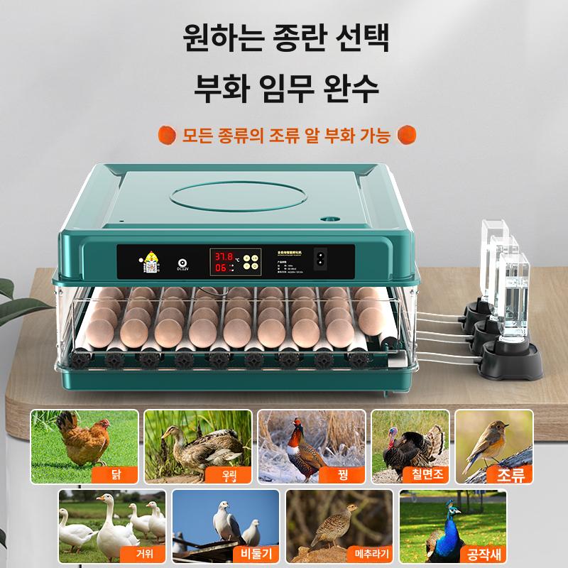 메추리부화기 달걀 계란 닭 계란인큐베이터 관찰 육추기 병아리부화기 메추리알 병아리 유정란 - 상세 이미지 3
