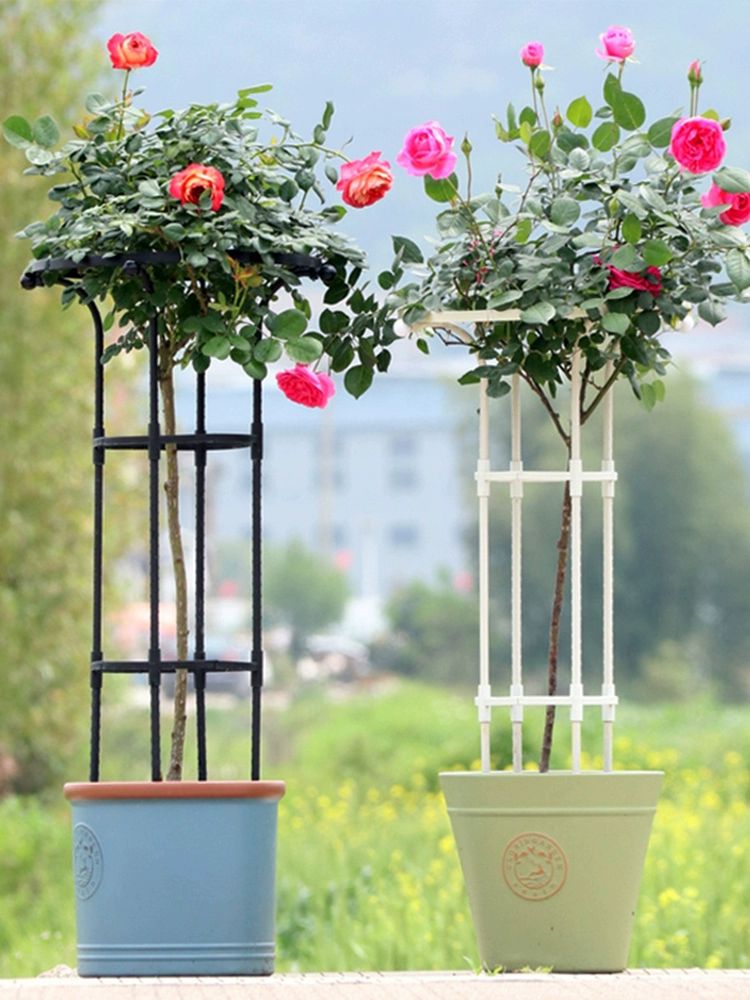 정원 식물 지지대 넝쿨 활대 우산형 원예용 오이 줄기 고정 가든 케이지 지탱대 - 상세 이미지 2