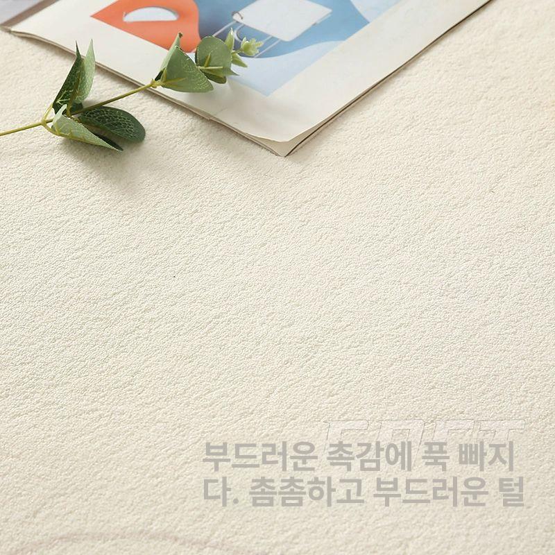 사계절 매트 단모 비정형러그 특이한 거실카페트 먼지없는 감성 모던 불규칙카펫 - 상세 이미지 5