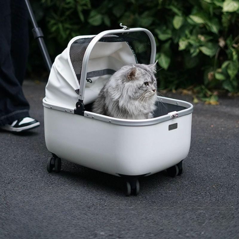 고양이 강아지캐리어 외출 반려동물 산책 이동가방 반려견 반려묘 여행용 투명캐리어 - 상품 이미지