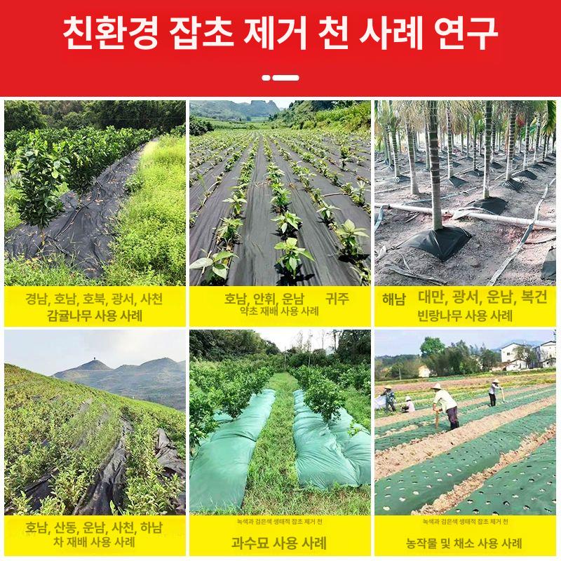 텃밭 제초매트 잡초방지 식물 보온 비닐커버 녹색 덮개 원예용 방초시트 - 상세 이미지 5