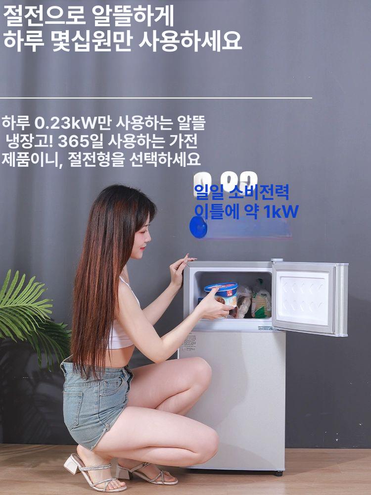 차량용 냉장고 양문 투도어 캠핑카 차박 카라반 휴대용 이동식 냉동고 소형 은색 - 상세 이미지 4