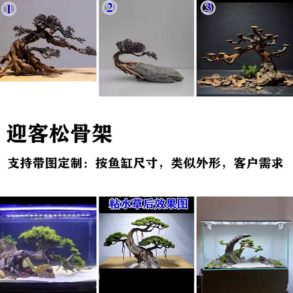 어항유목 활착 모스나무 어항꾸미기 가지 조경 소품 파충류 트리 수초 열대어 - 상세 이미지 4