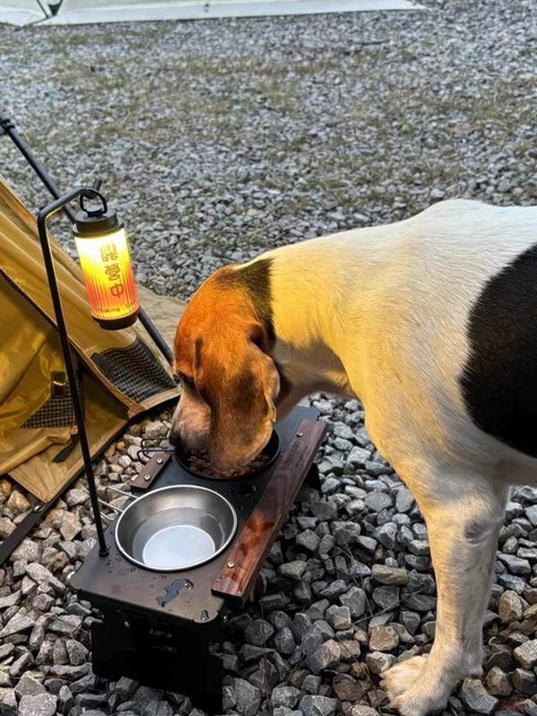 야외 밥그릇 캠핑용 강아지 고양이 반려동물 접이식 세트 아웃도어 피딩 휴대용 푸드볼 - 상품 이미지