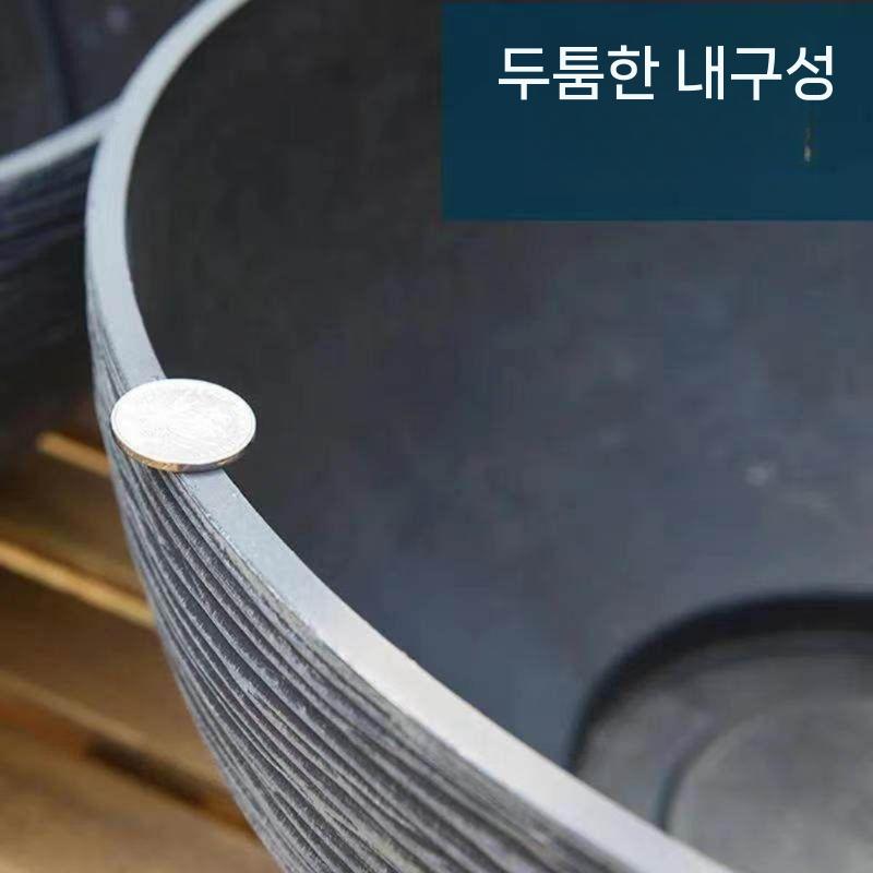 부레옥잠 키우기 수중 수생 베란다 트럼펫 재배 수경 식물 수초 키우는 수경재배 샌드 - 상세 이미지 5