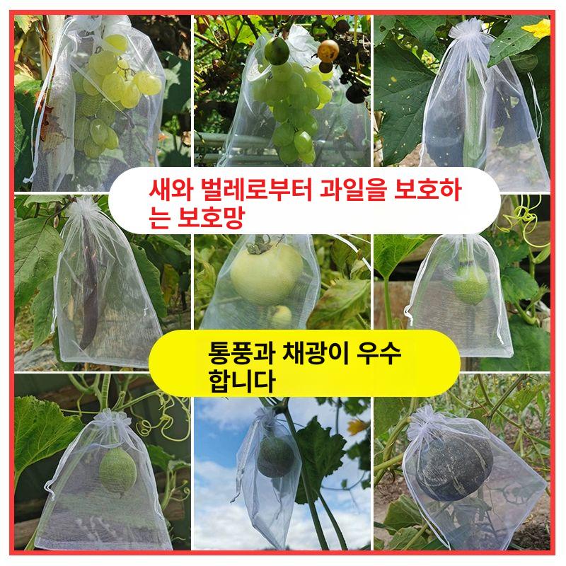 100장 과일싸개 포장지 사과 배 네트 무화과 포도 보호망 벌 커버 망사 농작물 정원 - 상세 이미지 2