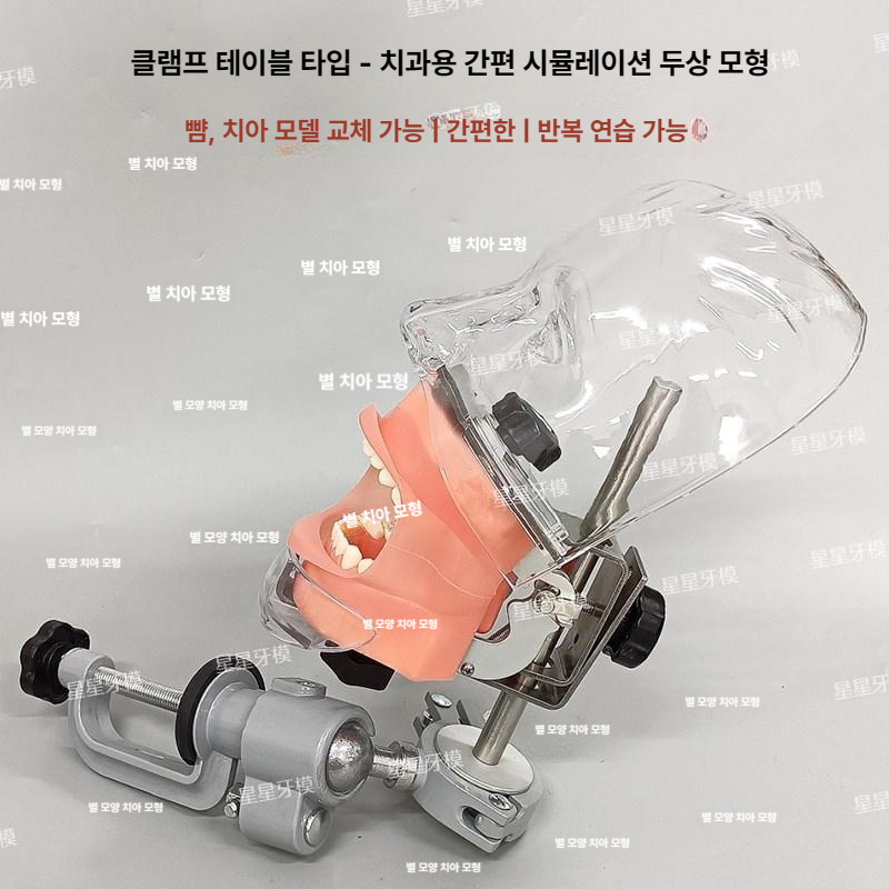 치과실습 모형 연습 환자 덴티폼 수술 헤드 잇몸 구강 교육용 교육 모델 실리콘 치과 - 상세 이미지 3