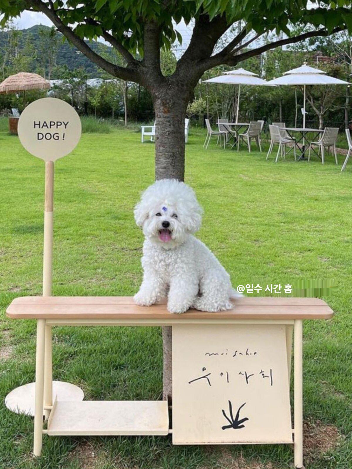 광고 카페입간판 매장 현수막 프레임 스탠딩 실외 스탠드 베너 탁상용 입구 포스터 - 상세 이미지 2
