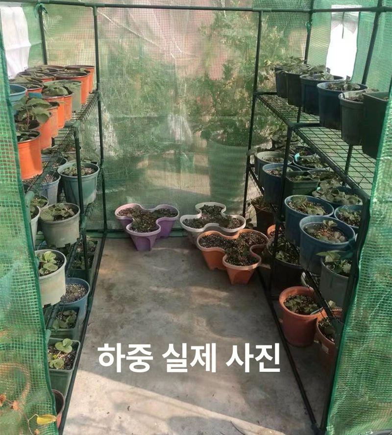 농업용 비닐하우스자재 미니온실 미니텃밭 베란다 폭 정원 텃밭비닐하우스 다육 - 상세 이미지 2