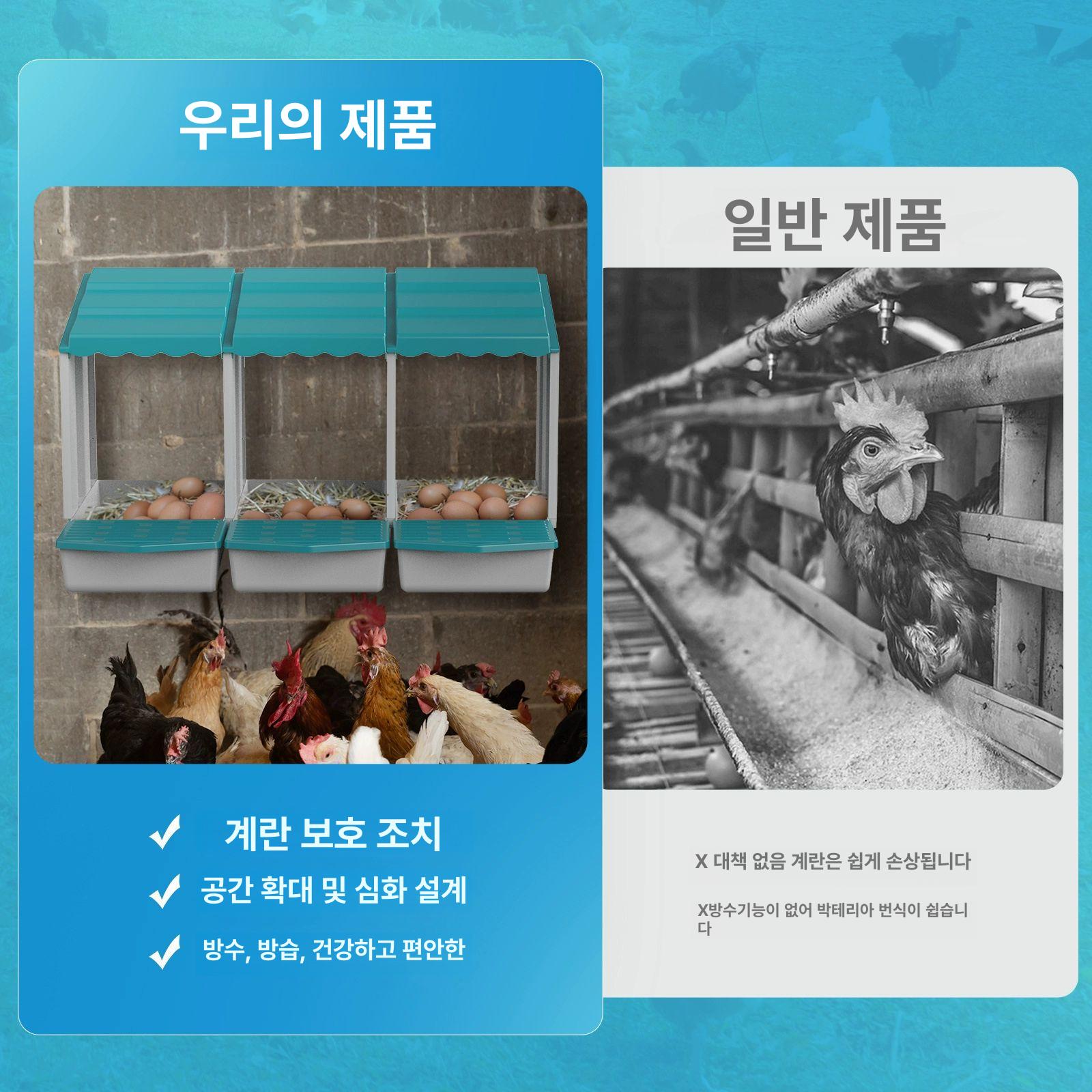 새보금자리 닭산란통 짚둥지 알통 달걀 닭집 - 상세 이미지 4