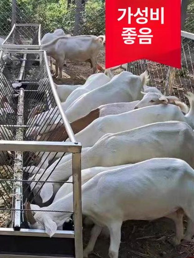 배식 여물통 농장 축산 목장 염소먹이통 염소사료통 구유 농가 가축사료통 사육장 - 상세 이미지 3