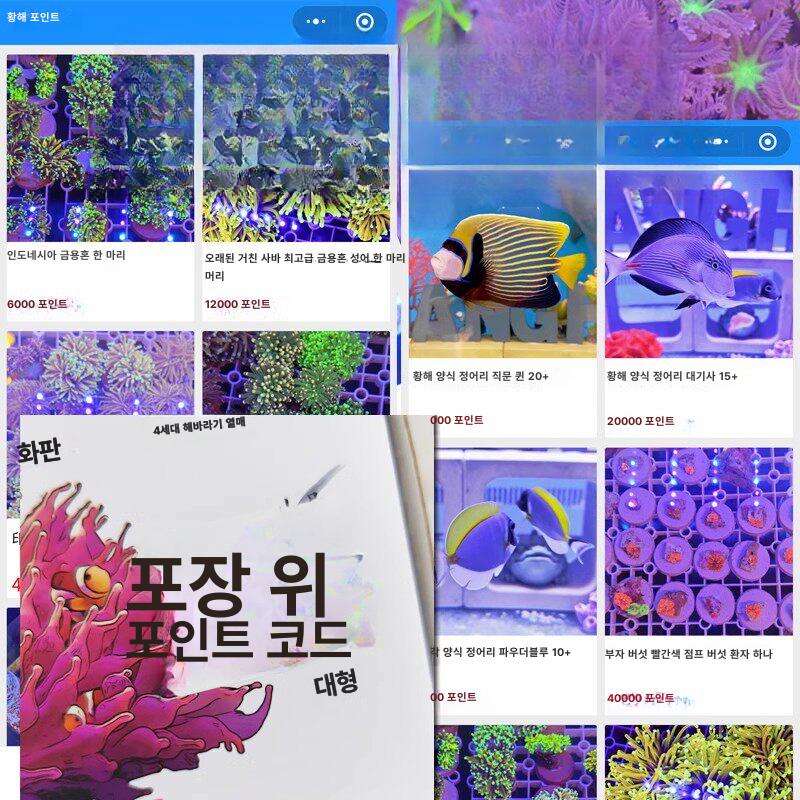 수족관 말미잘집 암초 해수어항 물고기 인공 풍경 용품 거북이 산란 꾸미기 - 상세 이미지 5