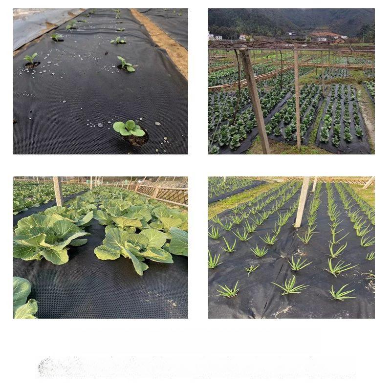 유공부직포 덮개 제초 농업용 채소 잡초방지 멀칭비닐 통기성 농사용 방초포 잔디천 - 상세 이미지 4