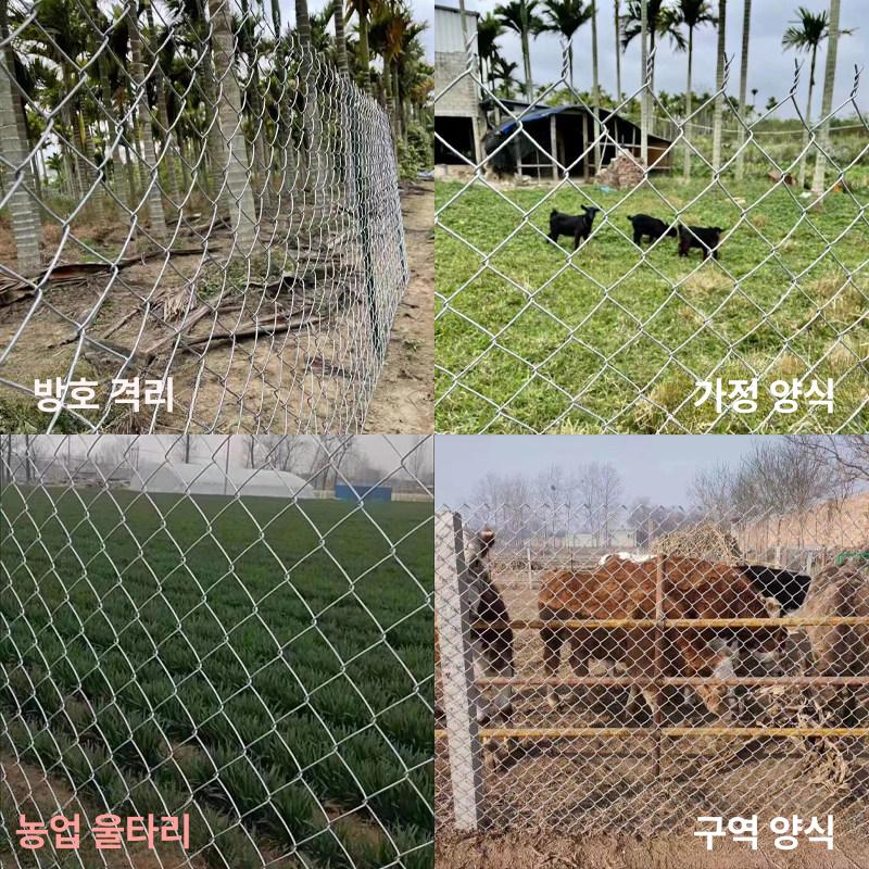 염소망 철조망 강철 구멍 축사 높이 그물망 노루망 닭망 닭장망 고라니망 양계망 담장 - 상세 이미지 2