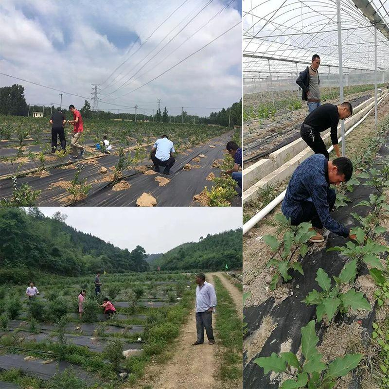 펠트 잡초매트 차단 부직포 제초매트 온실 비닐 방초 보온덮개 하우스 폭 원예 농업 - 상품 이미지