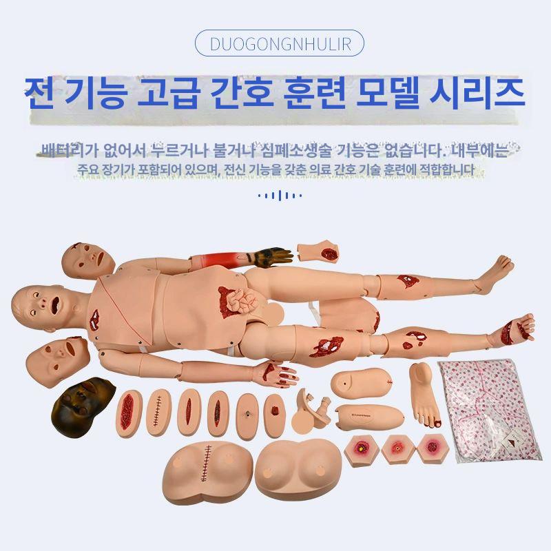간호실습 인체 의학 치과 교육용 뼈 교구 간호학과 간호사 의대 과학 학습 훈련 - 상세 이미지 2