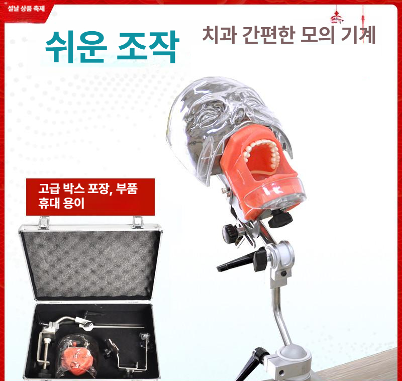 치과 실습 마네킹 교육 이빨 치과대학 치과마네킹 몰드 헤드 치위생사 훈련 덴티폼 더미 - 상세 이미지 4