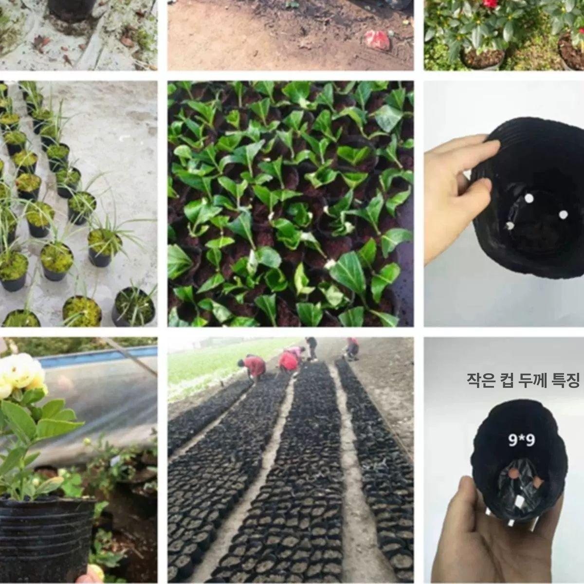 모종 비닐포트 파종 육묘컵 원형 묘목화분 분갈이 원예용 식물재배 - 상세 이미지 4