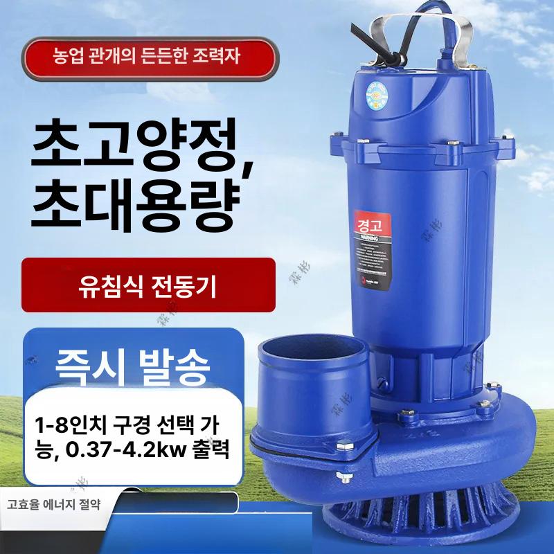 수중 모터 펌프 양수기 수중모터펌프 물 오수 텃밭 관개 급수 정화조 수영장 워터 관수 - 상세 이미지 2