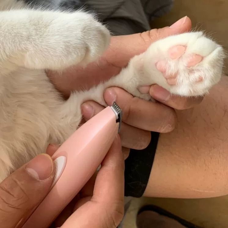 고양이 발털깎이 청소 애완 트리밍 빗 손질 제거 흘리기 발톱깎이 전용 헤어커터 제모 - 상세 이미지 3