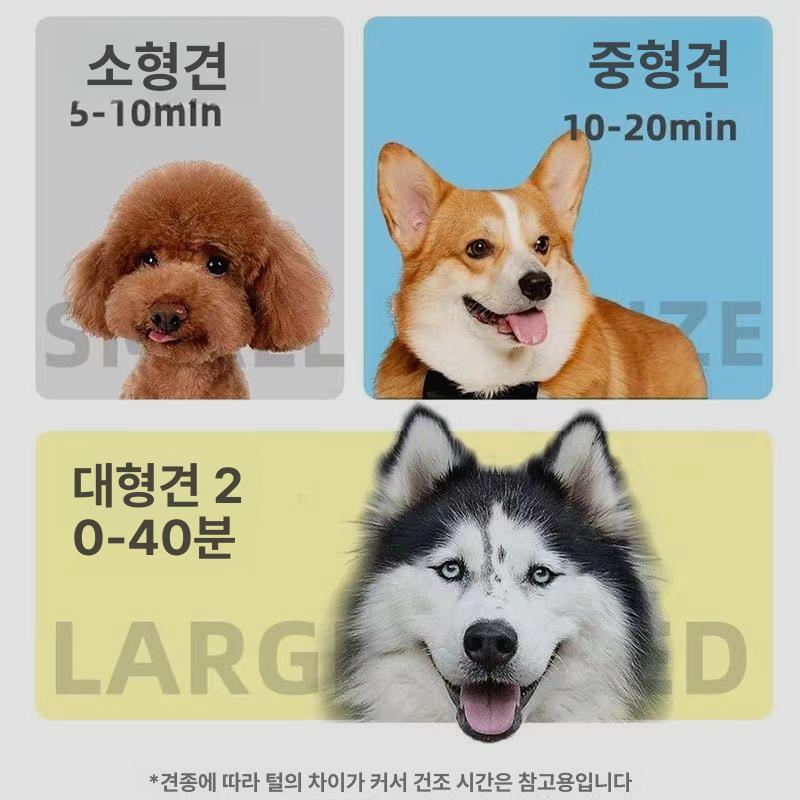 가정용 드라이어 소음 애견블로워 블로어 털말리기 강풍 속도 - 상세 이미지 3