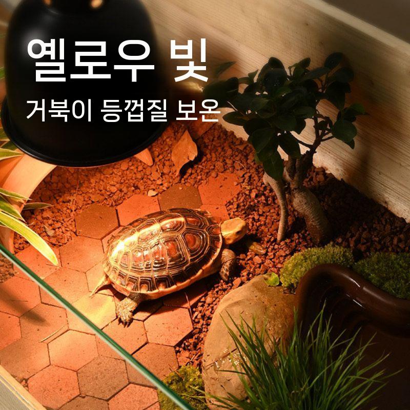 스탠드 조명 UVB 도마뱀 난방 램프 물고기 키우기 포함 축양장 프레임 가정용 - 상세 이미지 3