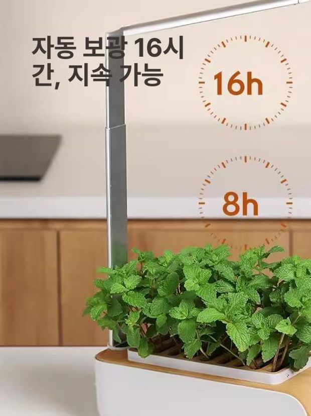 3홀블랙 상추 스마트화분 실내 가정용 거실 스마트팜 채소 수중재배 수경재배기 - 상세 이미지 4