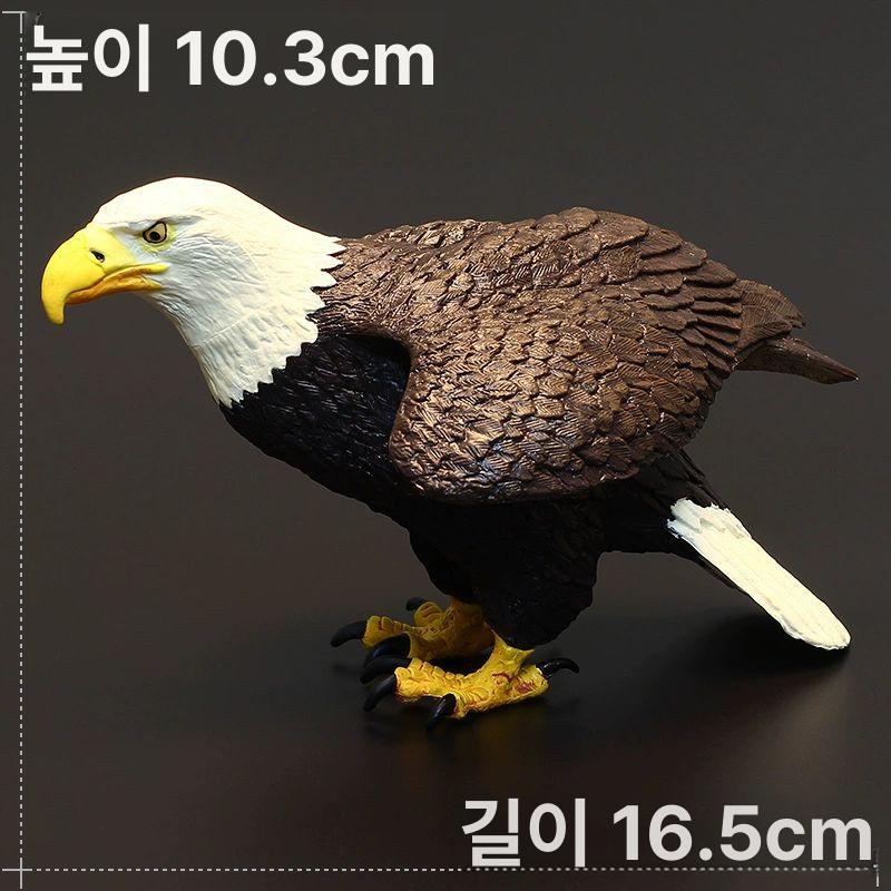 독수리 동물 피규어 수집용 미니어처 조각상 집 꾸미기 선반 장식 소품 - 상세 이미지 3