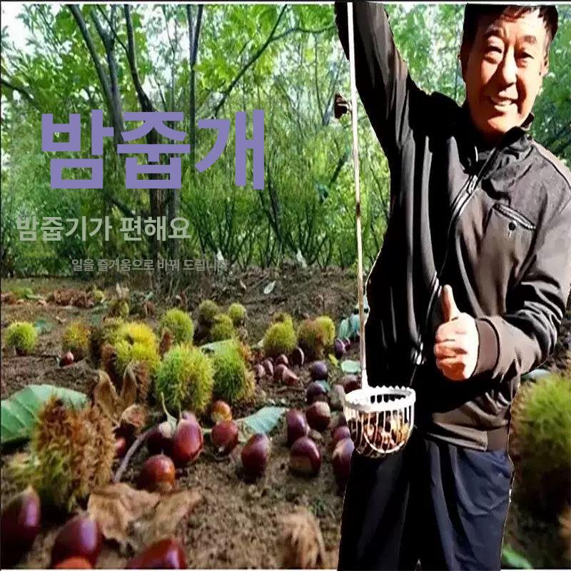 밤 따기 수확기 열매 채집 도구 견과류 대추 매실 수거 농업용 손잡이 - 상세 이미지 2