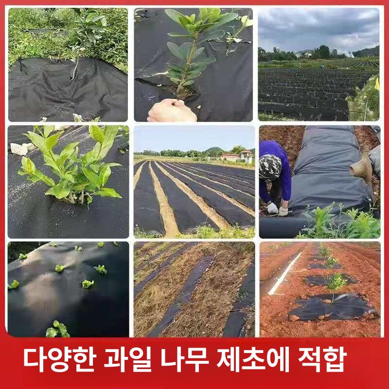 과수원 방초포 농업용부직포 제초매트 잡초매트 잡초방지 내구성 차광막 채소밭 보습 - 상세 이미지 5