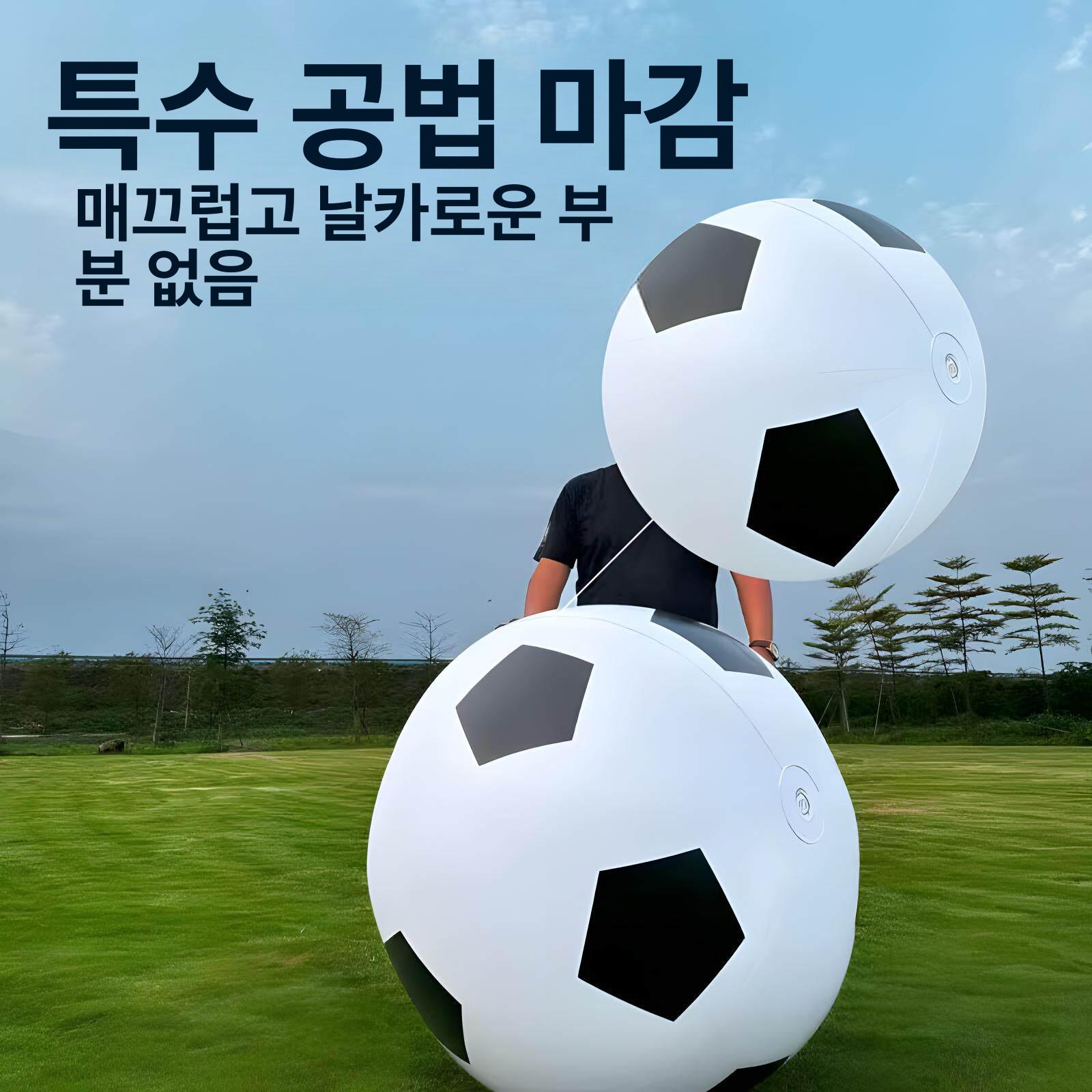 대형 배구공 비치볼 풍선공 야외 빅발리볼 컬러볼 단체 물놀이 에어 여름 레저 수영장 상품 이미지