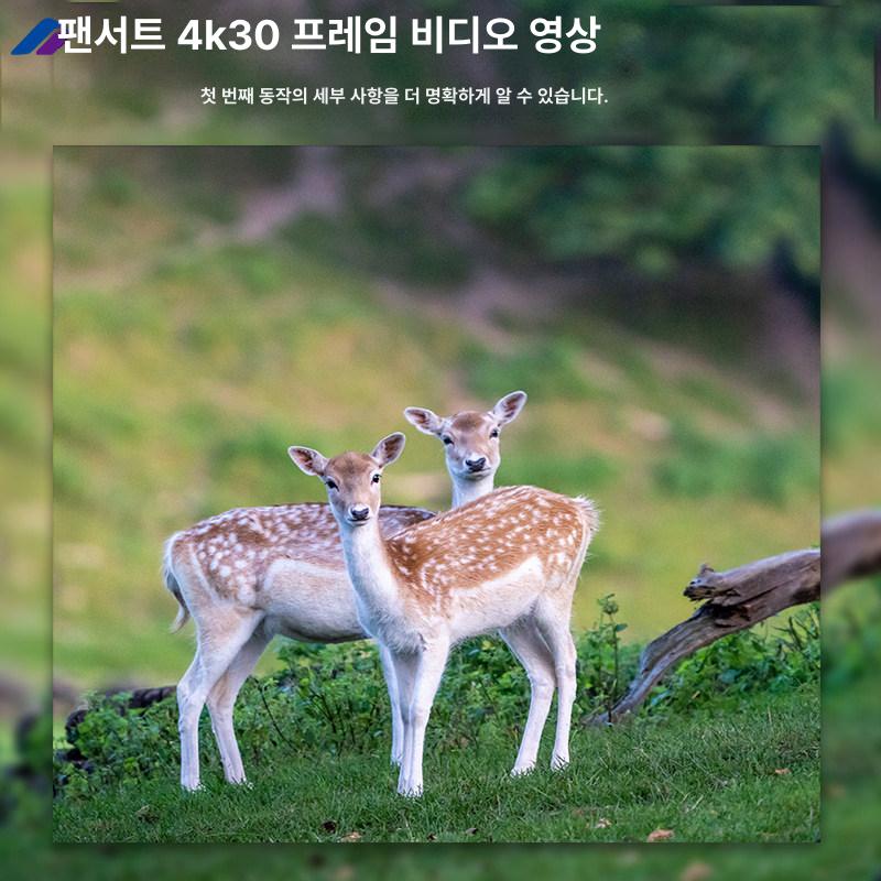 야생동물 감시 카메라 방수 태양광 충전 야외 무인 관찰 조류 멧돼지 고라니 적외선 - 상세 이미지 5