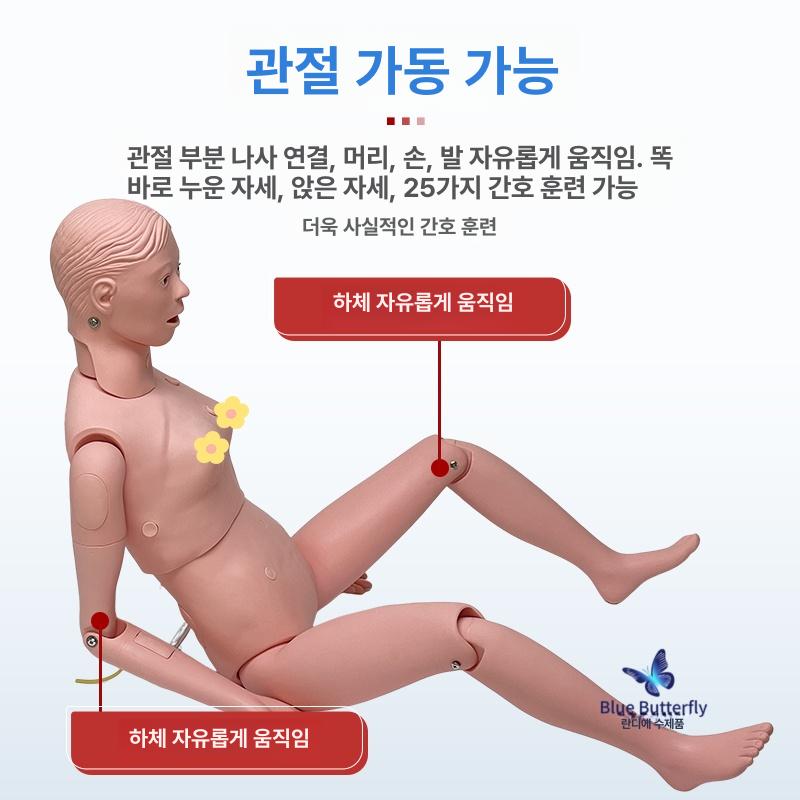 의료교육더미 인체모형 삽관 학교 시뮬레이션 치아 치과 인형 교육용 구조 해부학 기도 - 상세 이미지 3