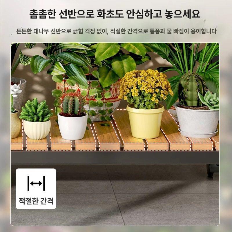 화분 진열대 계단식 받침대 베란다 정리대 스텐 선반 다이 원목 원형 다육이 실내 꽃가게 - 상세 이미지 5