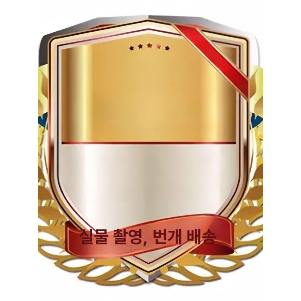 고성능 컨베이어 터널 대형 업소용 피자 오븐 자스터 EP-2-1 트레이 1개 - 상세 이미지 3