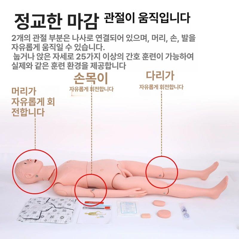 간호실습 인체 의학 치과 교육용 뼈 교구 간호학과 간호사 의대 과학 학습 훈련 - 상세 이미지 4