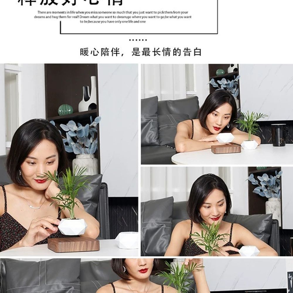 공중 화분 무중력 부양 플랜트 집들이 선물 가드닝 자기부상 - 상세 이미지 3