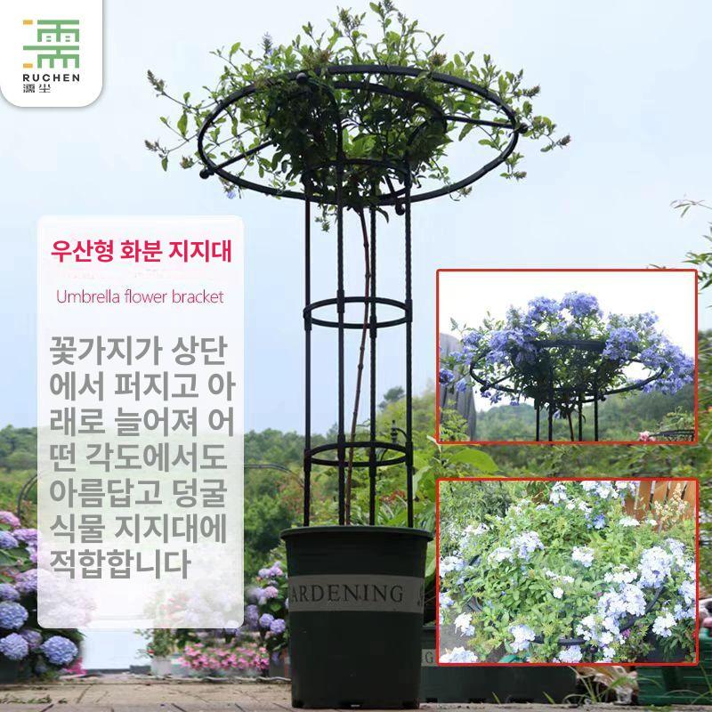 정원 덩굴식물 지지대 철제 울타리 넝쿨 꾸미기 야외 화분 화단 장식 - 상세 이미지 2