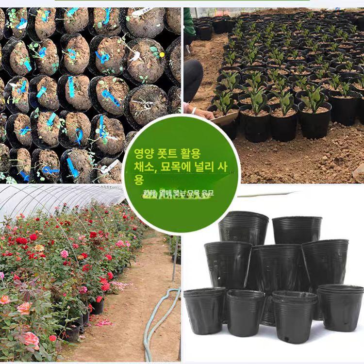대형 화분포트 일회용 봉지 재배 파종 원예 분갈이 비닐화분 모종화분 육묘 화훼 - 상세 이미지 4
