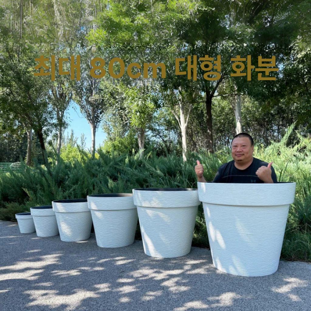 초대형 실외화분 라운드 꽃상자 인테리어용 거실 플랜트박스 베란다 연꽃 시멘트 - 상세 이미지 3