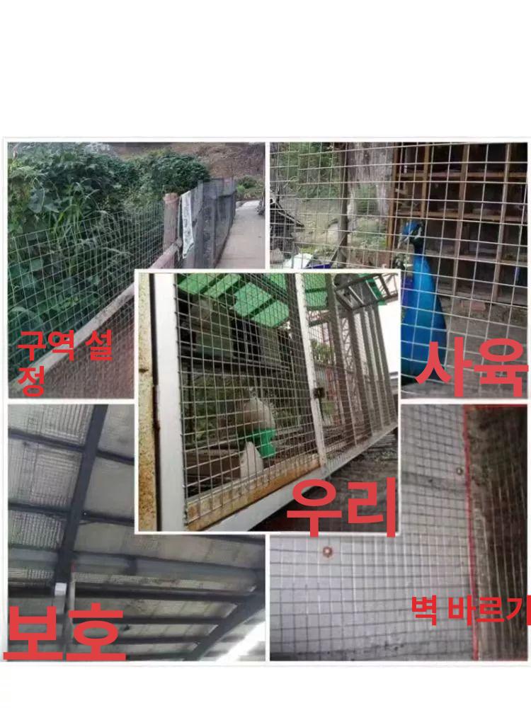 휀스망 울타리 닭장 아연 구멍 두께 격리 안전망 철조망 능형망 메쉬망 고라니망 길이 - 상세 이미지 3