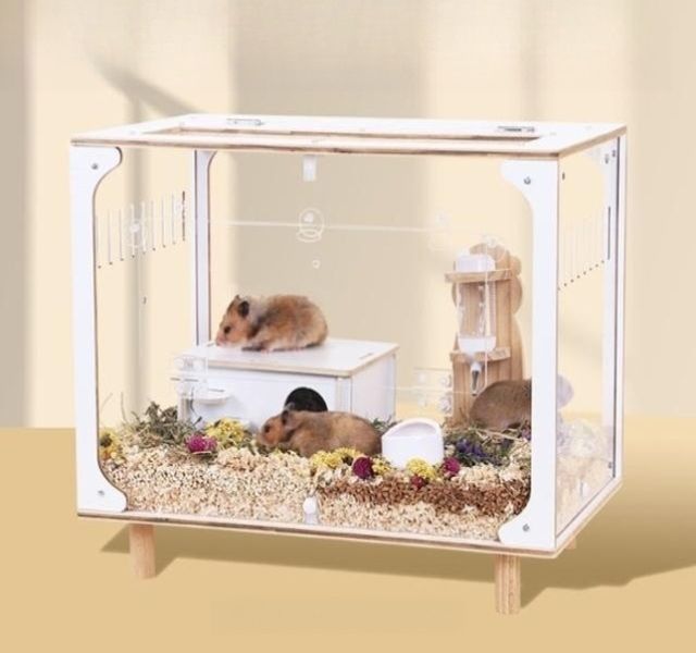 아크릴 케이지 반려동물 소동물 친칠라 은신처 투명집 하우스 고슴도치 기니피그 - 상세 이미지 3