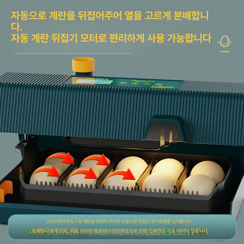 스마트 자동부화기 블루 육추기 알 인큐베이터 전원 가정용 키우기 단전 과학 - 상세 이미지 4