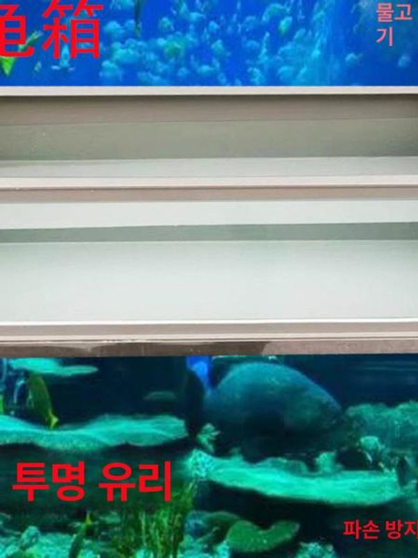 투명 거북이 사육장 아크릴 수족관 물고기 테라리움 하단 배수 환기 야생동물 사육용 - 상세 이미지 2