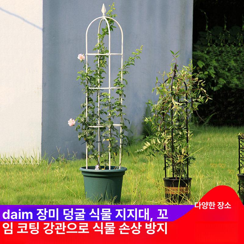 식물지지대 넝쿨 클립형 정원 장미 국화 화초 지지봉 세트 베란다 화분 가드닝 용품 - 상세 이미지 3