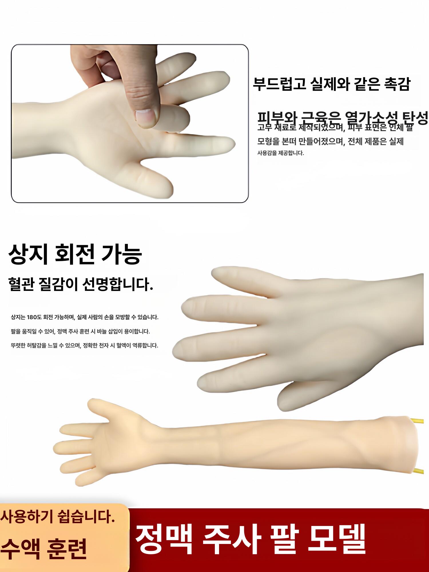 의료실습모형 정맥주사 연습키트 혈관주사 마네킹 의학교육용 훈련모형 - 상세 이미지 2